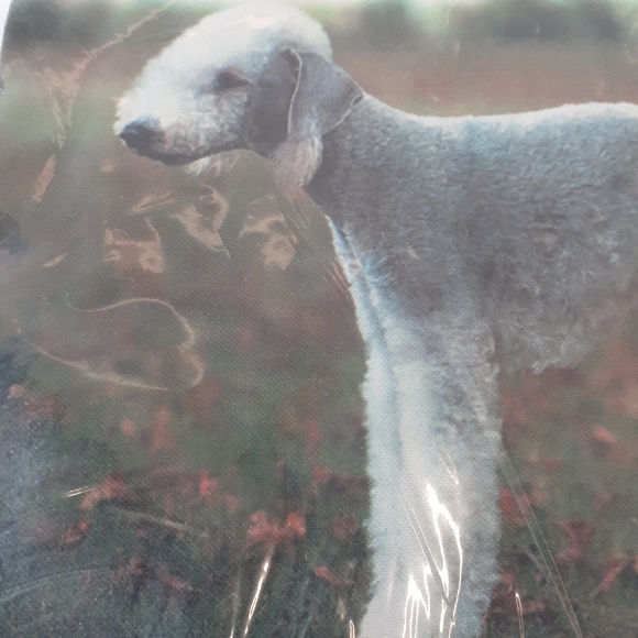 Sold Out Not For Sale - Picture 2 of 5